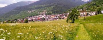 Pet-Friendly Hotels in Vezza dʼOglio