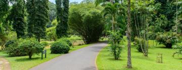 Cheap hotels in Peradeniya