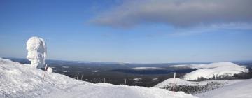 Hotel Mesra Haiwan Peliharaan di Ylläsjärvi