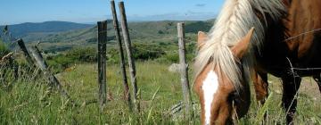 Casas y chalets en Saugues