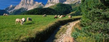 Mājdzīvniekiem draudzīgas viesnīcas pilsētā Gresse-en-Vercors