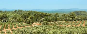 Holiday Rentals in Vérargues