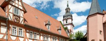 Apartments in Erbach im Odenwald