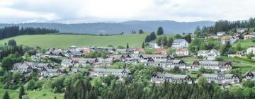 Недорогие отели в городе Hüttenberg