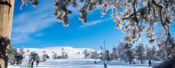 Hotel dengan parkir di Kittilä