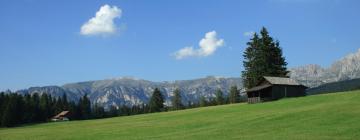 Ski Resorts in Carisolo