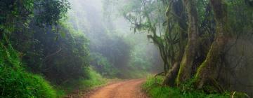 Hotels in Magoebaskloof