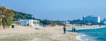 Allotjaments vacacionals a Borgo