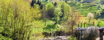 Parkolóval rendelkező hotelek Fabbriche di Vallicóban