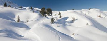 Resorts de esquí en Aime