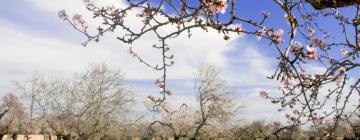 Alquileres vacacionales en Maria de la Salut