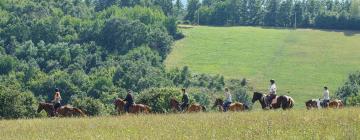 Hotels mit Parkplatz in Kamenica