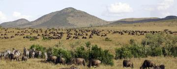 Lodges in Masai Mara