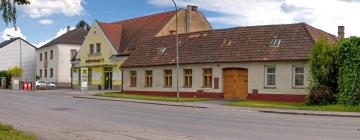 Apartments in Gerasdorf bei Wien