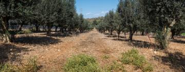 Hoteles con parking en Belén de Galilea