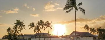 Pet-Friendly Hotels in Ewa Beach