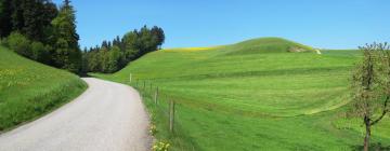 Hotels with Parking in Schangnau