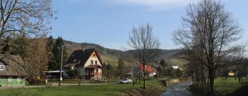 Family Hotels in Bělá pod Pradědem