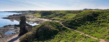 Hoteles con parking en Lundin Links