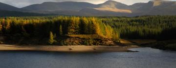 Bed & Breakfasts in Spean Bridge