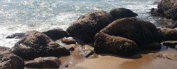 Alquileres vacacionales en la playa en Hibberdene