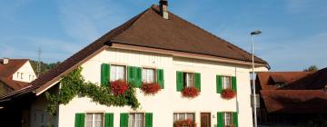 Hotels with Parking in Laufenburg