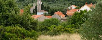 Hotels in Božava