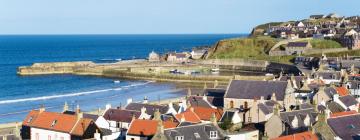 Pet-Friendly Hotels in Cullen