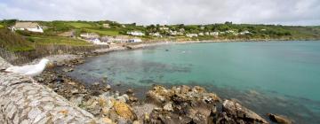 Hotels que accepten animals a Coverack