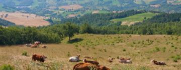 Semesterboenden i Montecalvo in Foglia