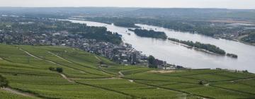 Hotels with Parking in Rheinau