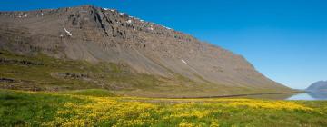 Hoteles en Patreksfjörður