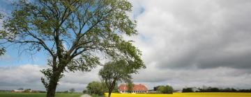 Hoteles con estacionamiento en Gadbjerg