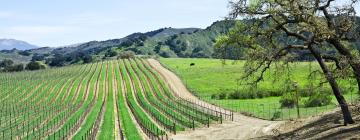 Accessible Hotels in Los Olivos