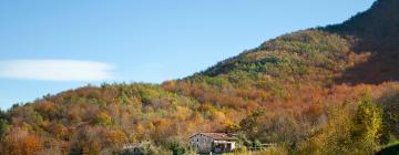 Family Hotels in Puig-reig