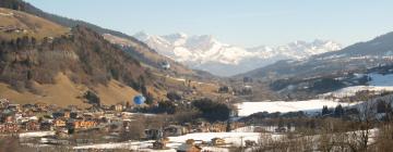 Apartments in Praz-sur-Arly