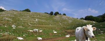 Cisterna di Latina şehrindeki otoparklar