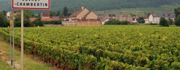 Hoteles que aceptan mascotas en Gevrey-Chambertin