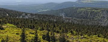 Hótel með bílastæði í Friedrichsbrunn