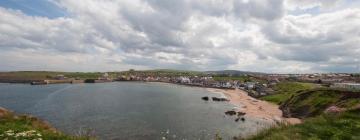 Hoteles que admiten mascotas en Eyemouth