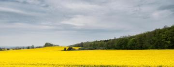 Hôtels à Locronan