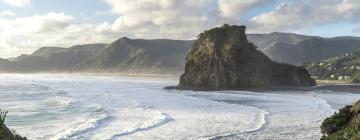 Villas in Piha