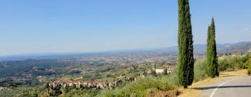 Cottages in Petrognano