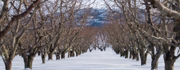 Aluguéis de Temporada em Vigneulles-lès-Hattonchâtel