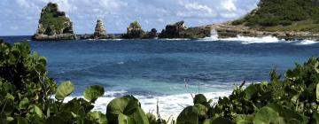 Cottages in Basse-Terre