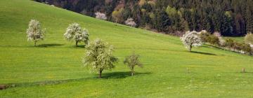 Hotels mit Parkplatz in Schenkenzell