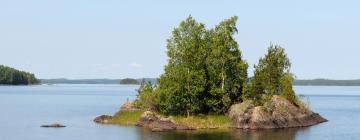 Lemmikkiystävälliset hotellit kohteessa Ähtäri