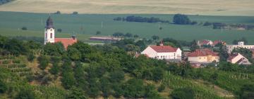 Hotels in Velké Pavlovice