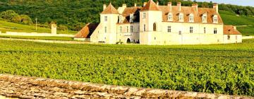 Hotels in Nuits-Saint-Georges