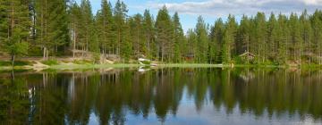 Hotel dengan Parking di Tolosenmäki